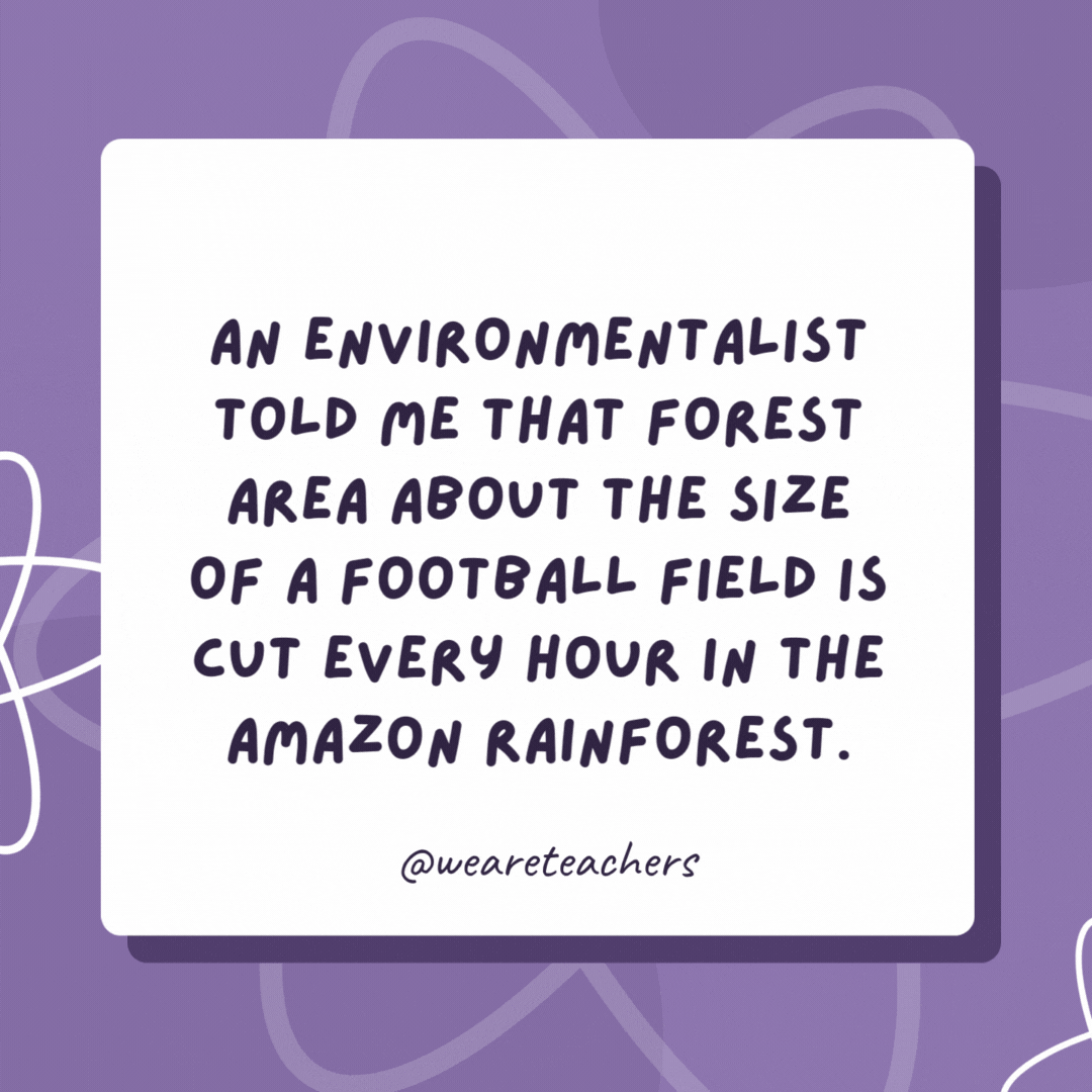 An environmentalist told me that forest area about the size of a football field is cut every hour in the Amazon rainforest.

No wonder Brazil is so good at football.