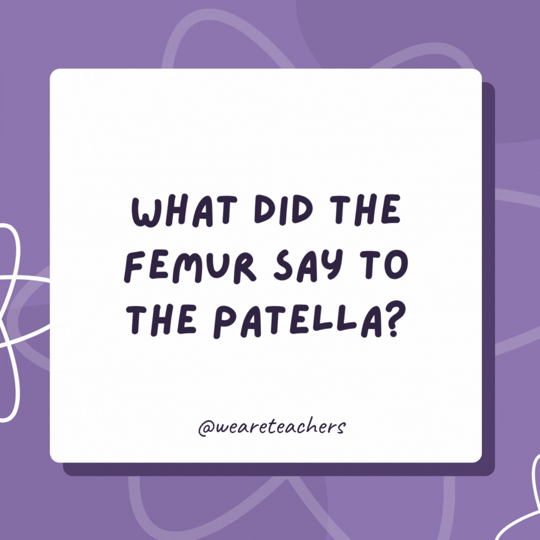 What did the femur say to the patella?

"I kneed you."