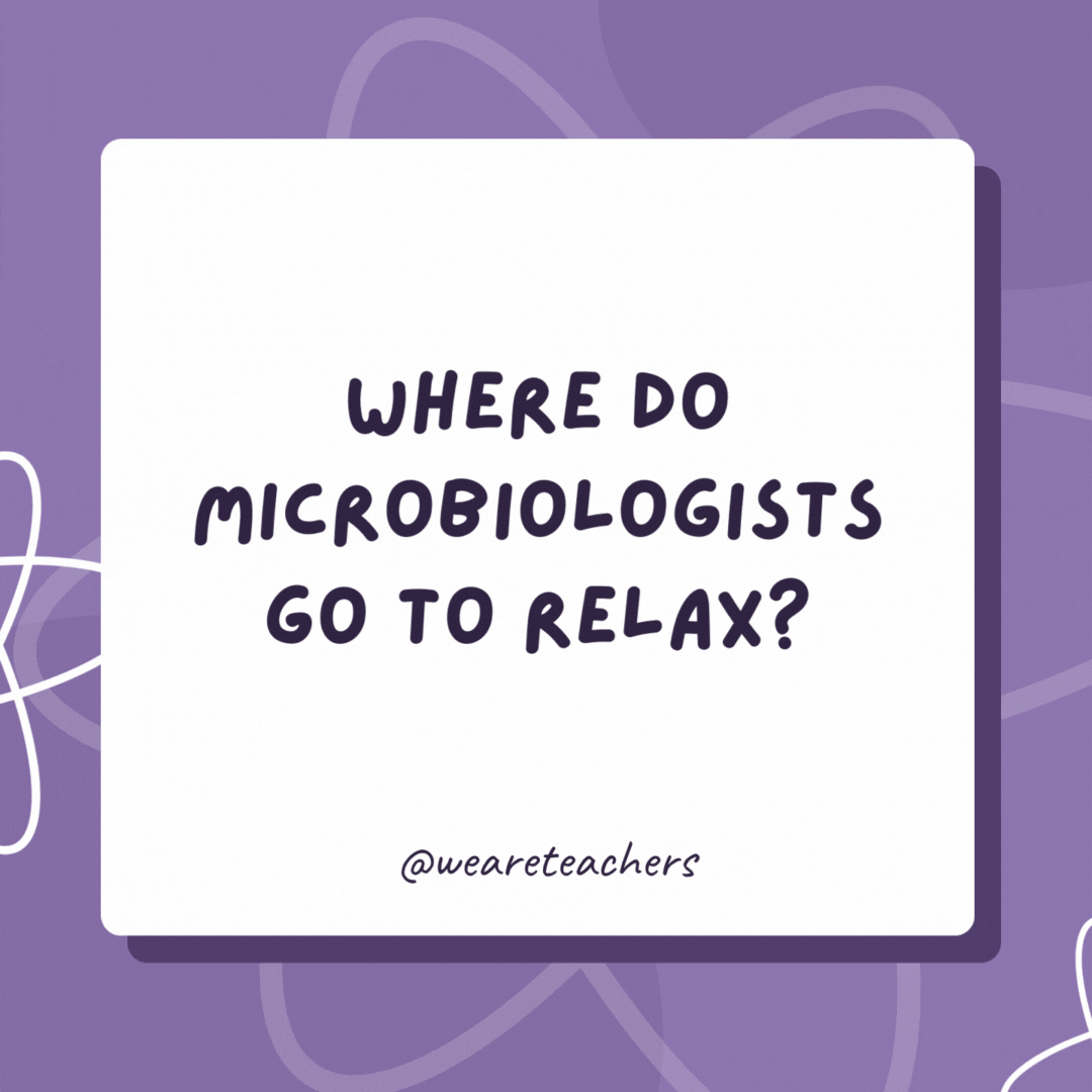 Where do microbiologists go to relax?

Places of high culture.