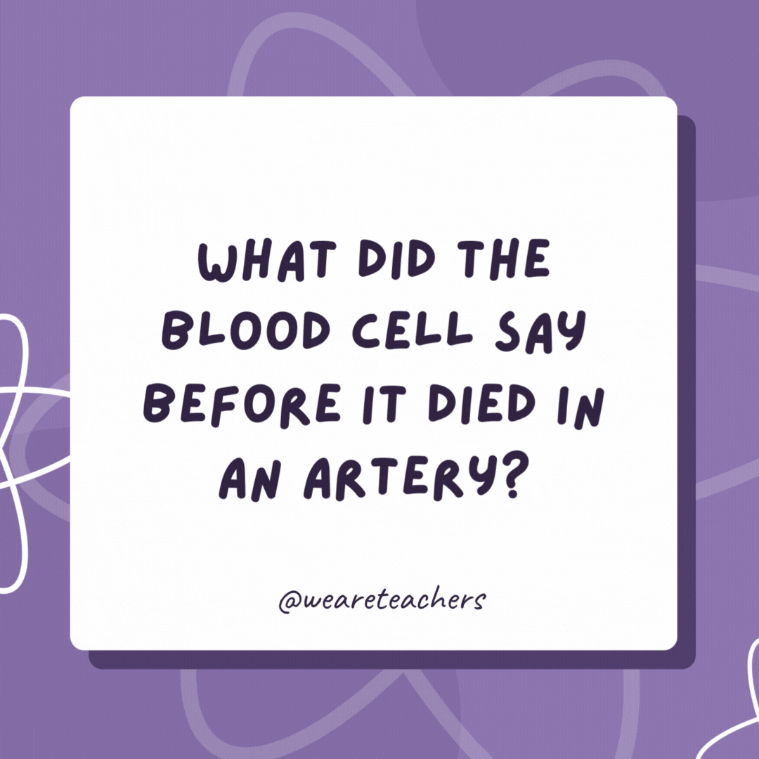 What did the blood cell say before it died in an artery?

"I will not go down in vein!"