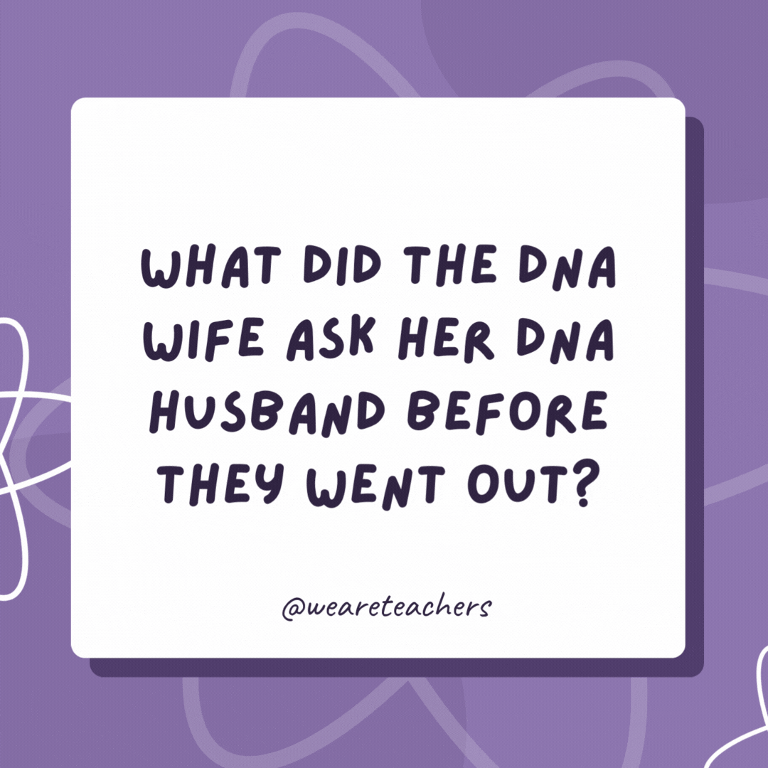 What did the DNA wife ask her DNA husband before they went out?

"Do these genes make me look fat?"- biology jokes
