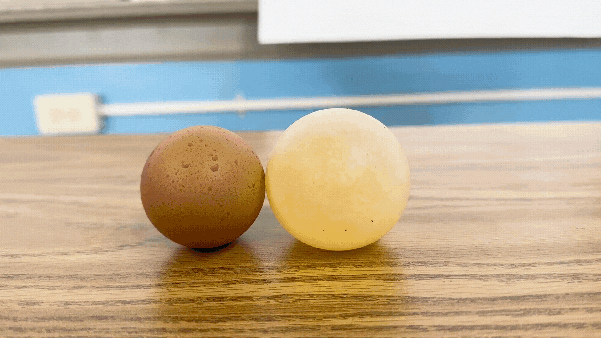 Egg-Gif