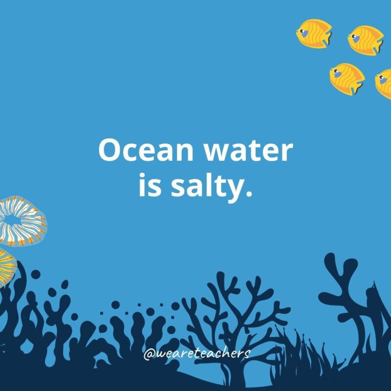 22 Amazing Ocean Facts for Kids Ocean water is salty.