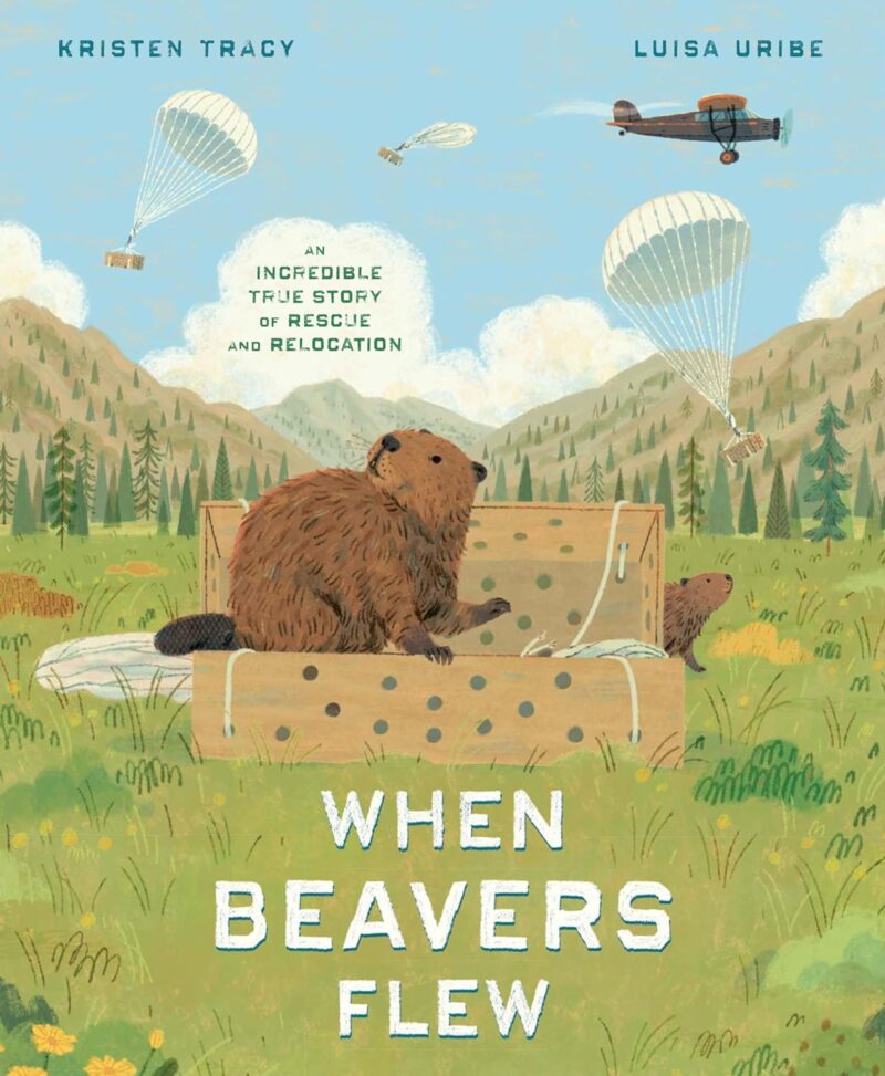 When Beavers Flew book cover